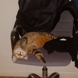 Meet your Posher, Karena